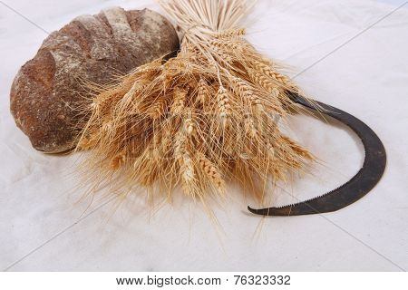 bunch of mown wheat ears with vintage handmade reaper hook sickle and rye dark french fresh bread loaf on white linen tablecloth