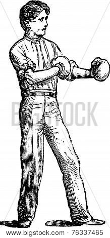 Position Of The Boxer Vintage Engraving