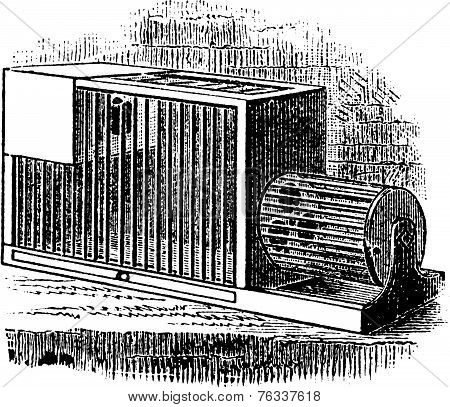 Rat Cage Vintage Engraving