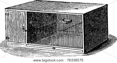 Mouse Cage Vintage Engraving