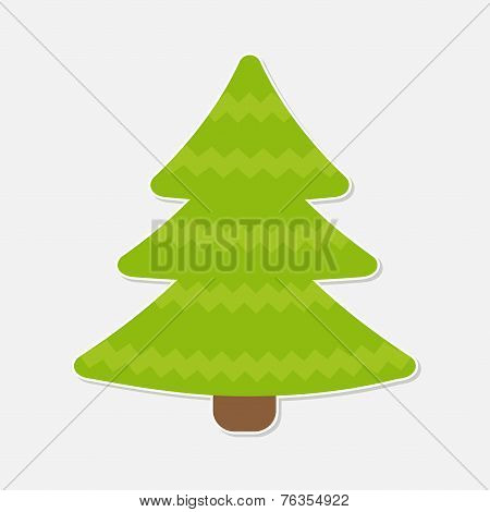Fir Tree. Christmas Tree. Isolated.