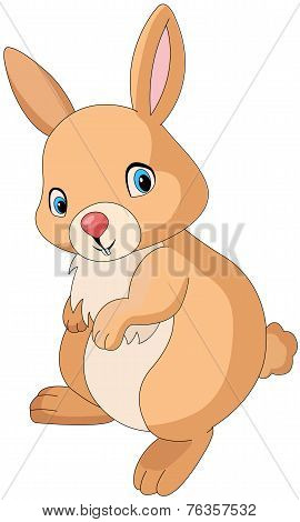 Cute Orange Rabbit, Illustration