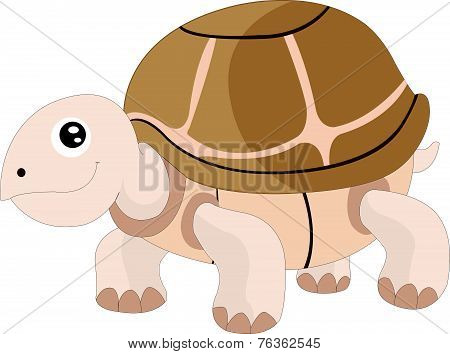 Cute Turtle, Illustration