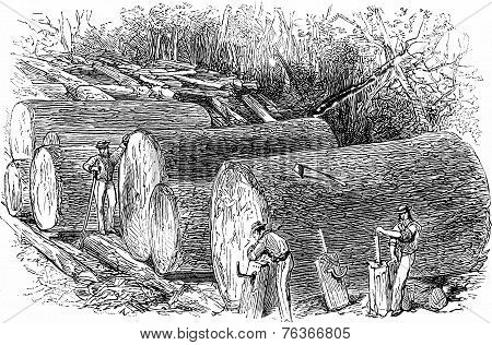 Way To Roll Logs, Vintage Engraving.