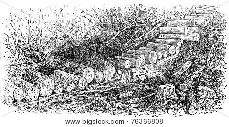 The Wagon Road, Vintage Engraving.