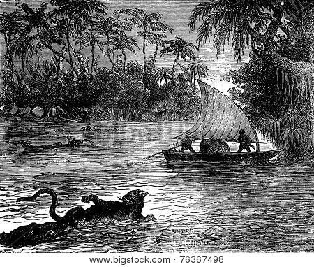 Clinging To The Floating Corpse, One Of The Jaguars, Vintage Engraving.