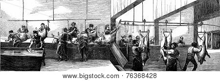 Cutting, Vintage Engraving.