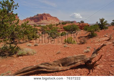 Capitol reef nationalpark