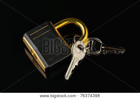 Hinged Lock