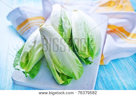 fresh chikory