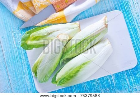 fresh chikory