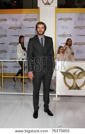 LOS ANGELES - NOV 17:  Liam Hemsworth at the The Hunger Games: Mockingjay Part 1 Premiere at the Nokia Theater on November 17, 2014 in Los Angeles, CA