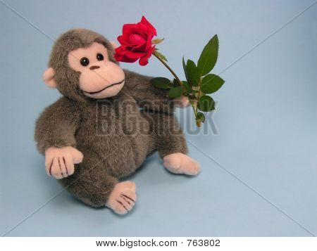 Love Monkey 1