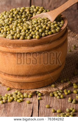 Raw Beans Mung In Bowl Closeup. Vertical