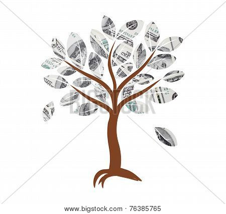 Money Tree. Illustration.