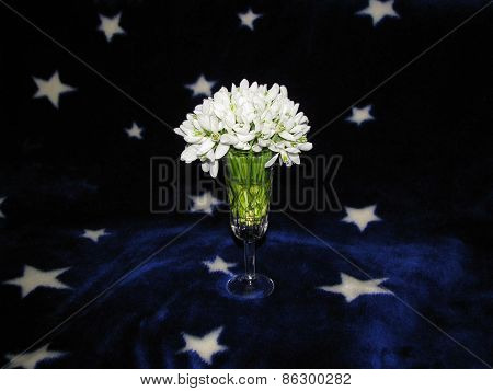 bouquet in a glass