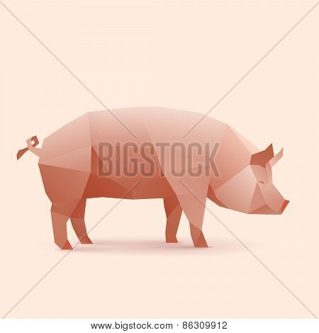 Pig
