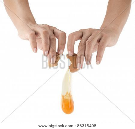 Yolk dropping from cracked raw egg divided by woman hands isolated on white background.  