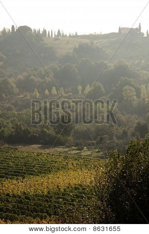 Холмы Тосканы