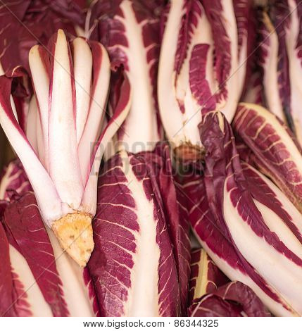 Red Radicchio For Sale Fresh From The Grocery Store