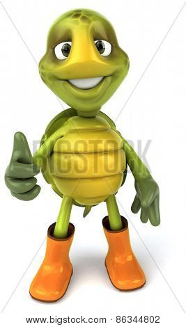 Fun turtle