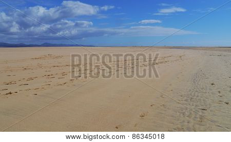 The vast sandy beaches of Fuerteventura