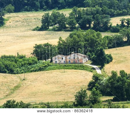 Marches (italy): Summer Landscape