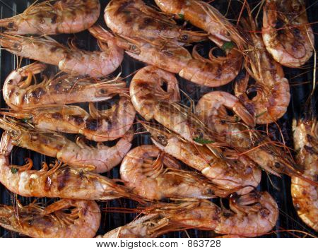 Hummer grillet