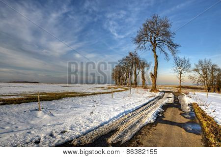 March in the Czech countryside