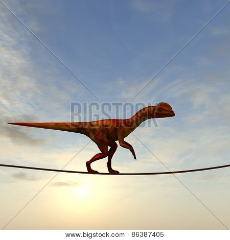Concept or conceptual abstract business metaphor as wild heavy dinosaurus balancing on rope over sunset sky background