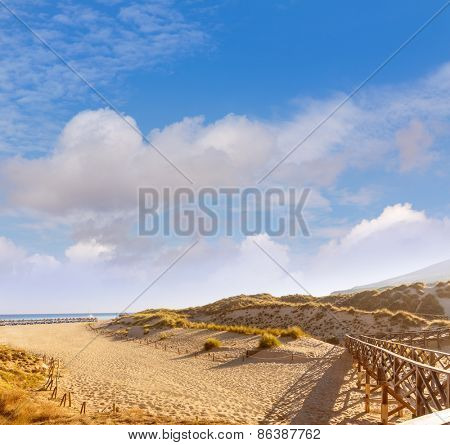 Majorca Cala Mesquida beach in Mallorca Balearic Islands of Spain