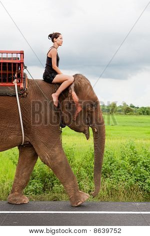 weibliche Teenager reitet Elefant