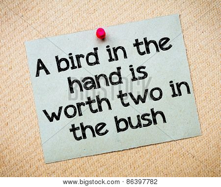 A Bird In The Hand Is Worth Two In The Bush