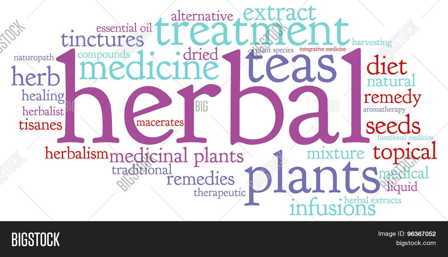 Herbal Word Cloud Image & Photo (Free Trial) Bigstock
