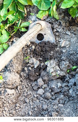Spudding Earth In Garden By Chopper