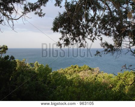 Coast variantti