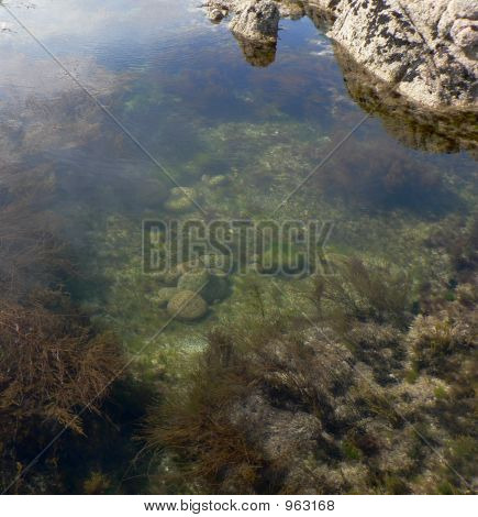 Rock Pool