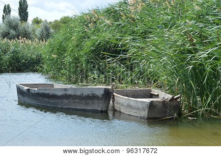 Retro boat on the background of reeds