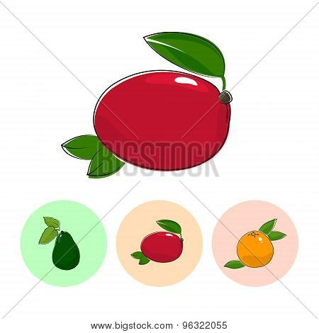 Fruit Icons, Mango ,avocado , Grapefruit