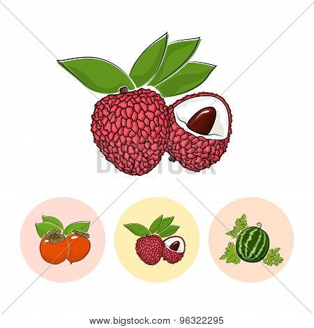 Fruit Icons, Lichee , Persimmon ,  Watermelon
