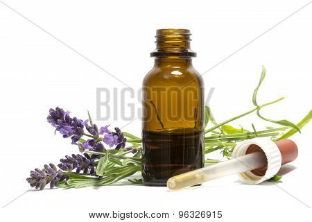 Lavender Oil, Flowering Branches And A Bottle With Dropper Isolated On White