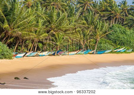 Tropical Beach With Exotic Palm Trees And Wooden Boats On The Sand In Mirissa, Sri Lanka