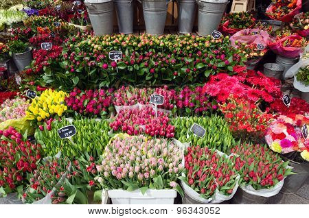 Flower Shop