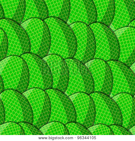 Egg Scale Pattern