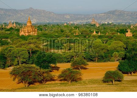 Scenic View Of Landscape, Fields And Temples In Bagan, Myanmar