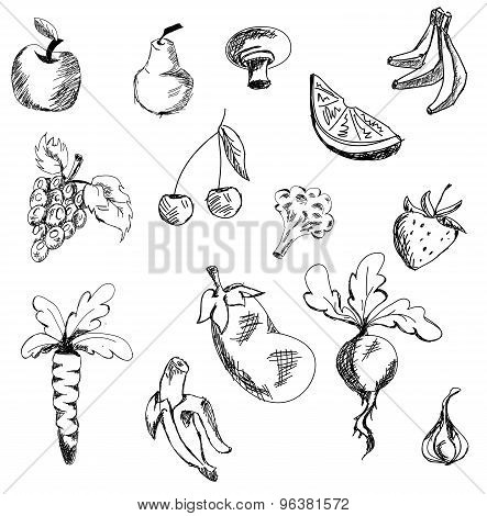 Drawn fruits and vegetables. Vector illustration