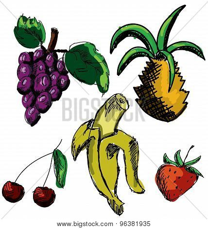 Drawn colored fruits and berries. Vector illustration