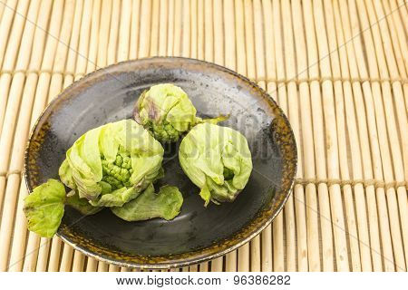 Butterbur sprouts