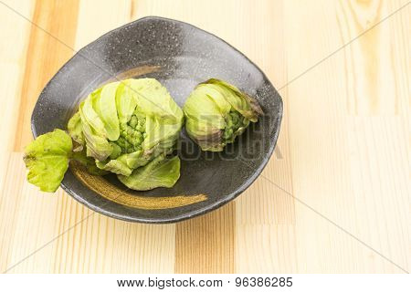 Butterbur sprouts