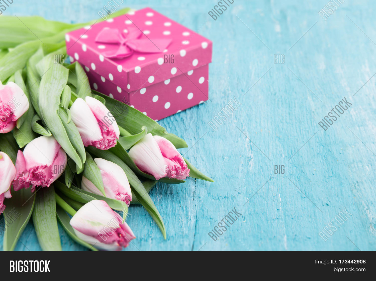 Bouquet Tulips Gift Image Photo Free Trial Bigstock Bouquet Tulips Gift Image Photo Free Trial Bigstock
